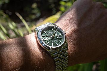 2023 Rolex DateJust 126234 Palm Dial with Papers 