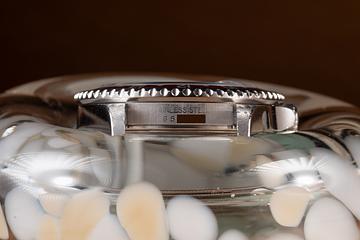 2004 Rolex GMT Master II 16710 Tropical Watch